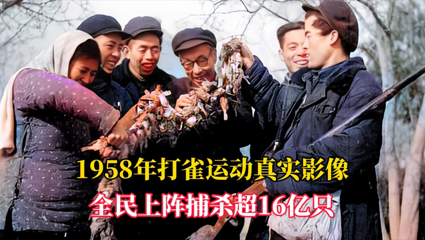 肖央新片真疯了,管家婆一肖中特网免费公开资料,准确资料解释落实_铂金版V8.62